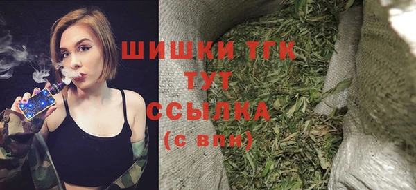 дживик Абинск