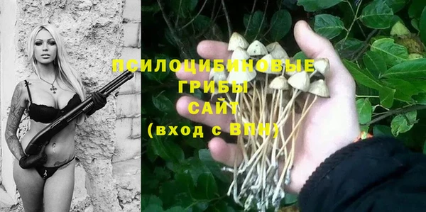 дживик Абинск