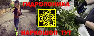 спиды Канаш