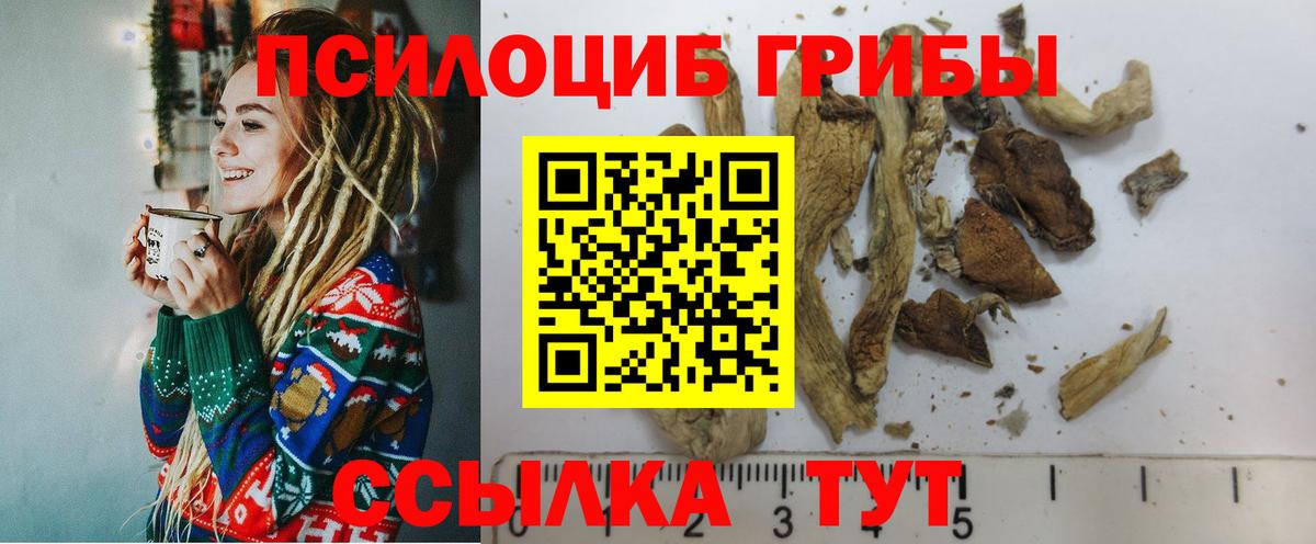 Галлюциногенные грибы прущие грибы  Галлюциногенные грибы ЛСД  магазин  наркотиков  Вход с VPN  Ковров 